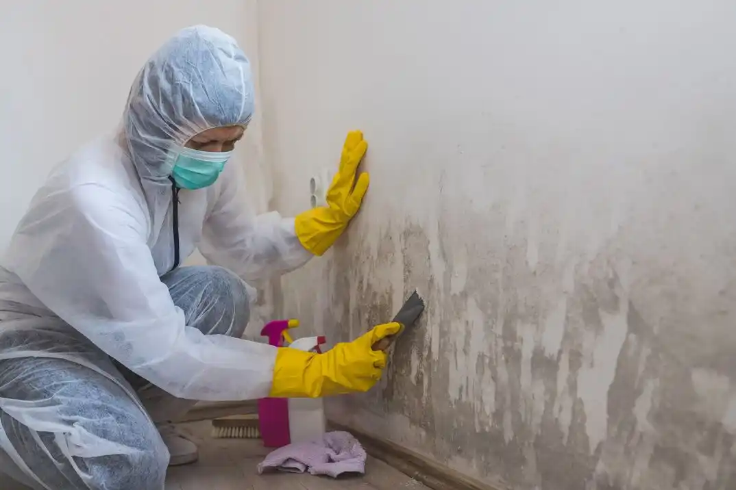 water damage restoration service Moravian Forest
